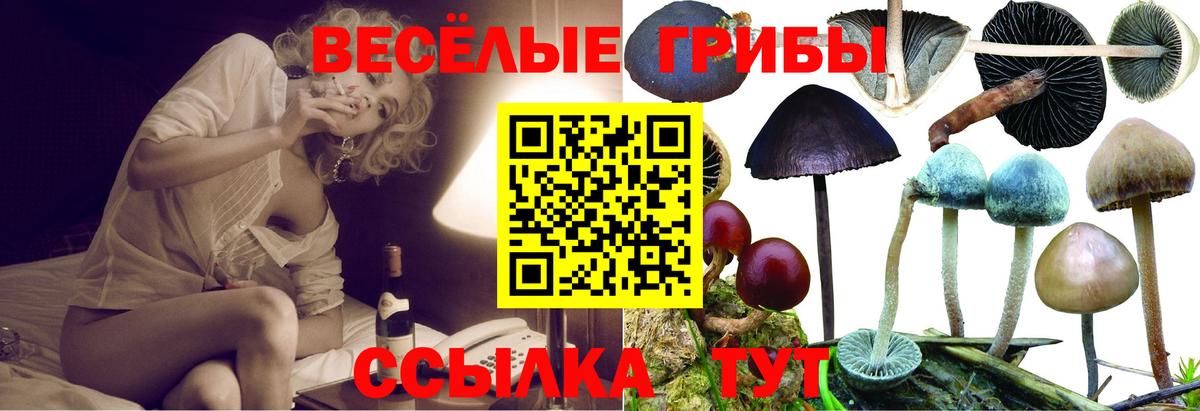 Галлюциногенные грибы MAGIC MUSHROOMS  Галлюциногенные грибы Psilocybine cubensis  Строитель  Вход с VPN 